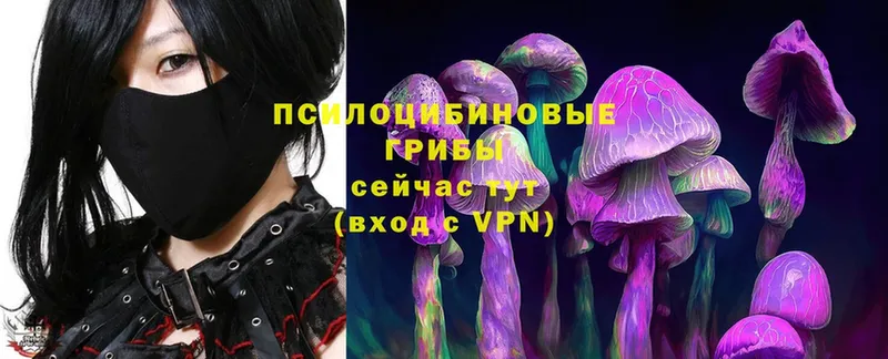 Псилоцибиновые грибы Magic Shrooms  Люберцы 